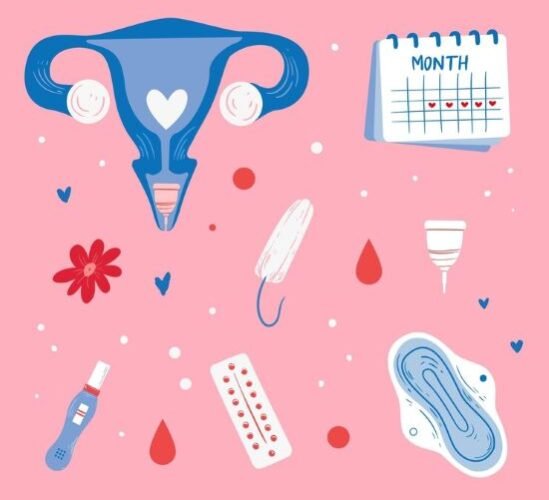 Fases do Ciclo Menstrual: Entenda cada etapa
