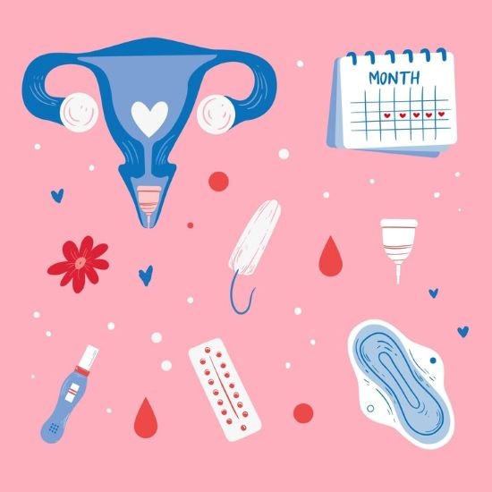Fases do Ciclo Menstrual: Entenda cada etapa