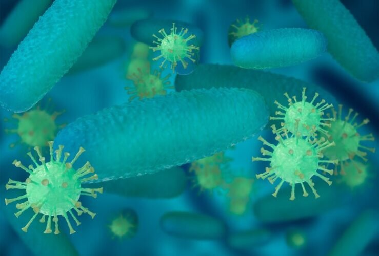 Microbiologia: o que estuda, áreas e importância