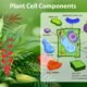 Biologia celular: o que estuda, estruturas e resumo