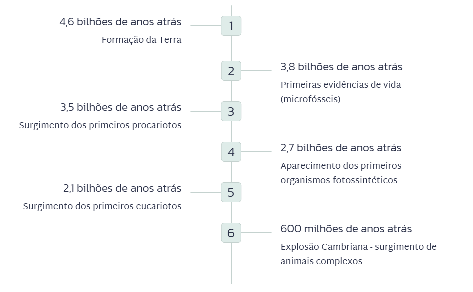 A evolução da vida: do surgimento das primeiras células à diversidade atual